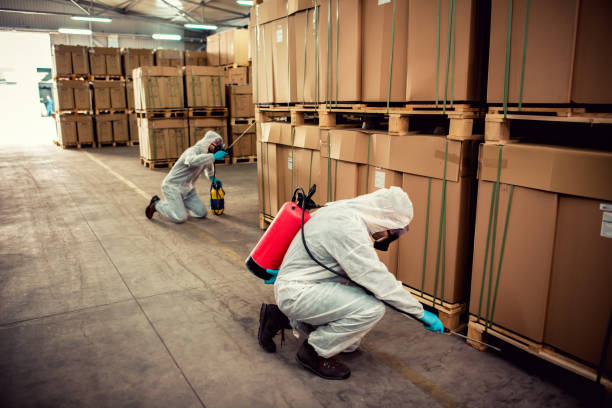 Best Mosquito Control Services  in Woodmont, CT