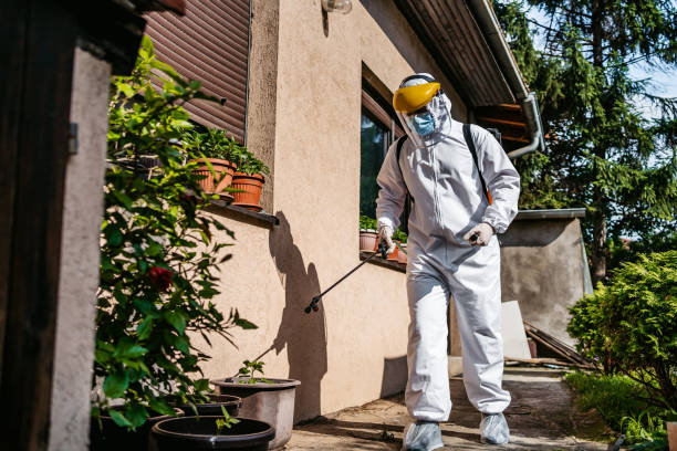 Best Mosquito Control Services  in Woodmont, CT