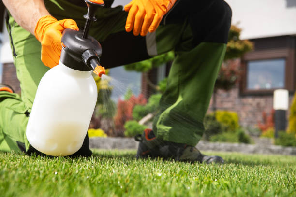 Best Best Pest Control Companies  in Woodmont, CT